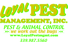 loyal-pest-management-logo