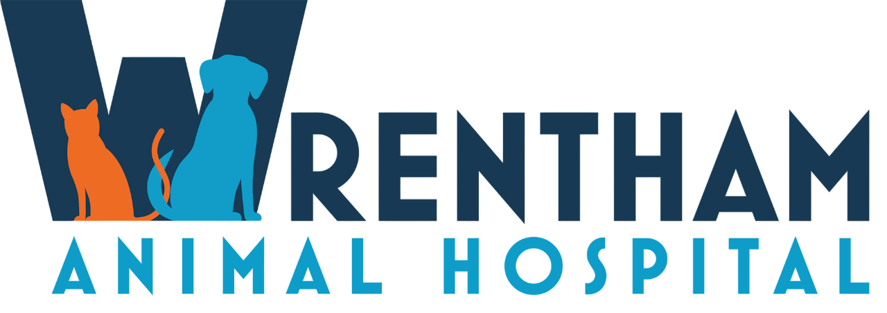 wrentham-animal-hospital